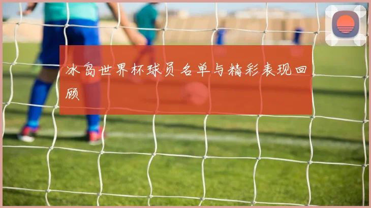 冰岛世界杯球员名单与精彩表现回顾