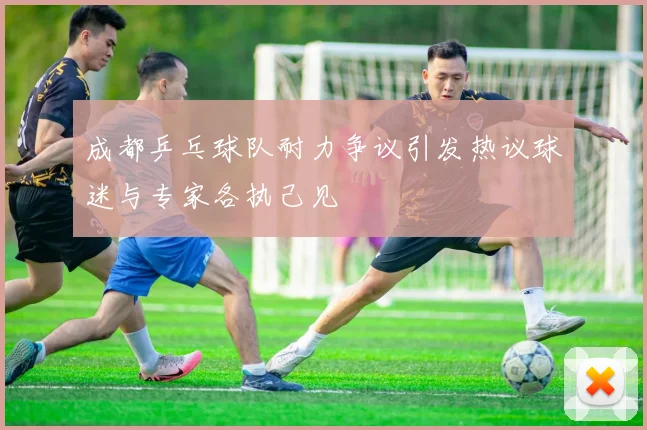 成都乒乓球队耐力争议引发热议球迷与专家各执己见